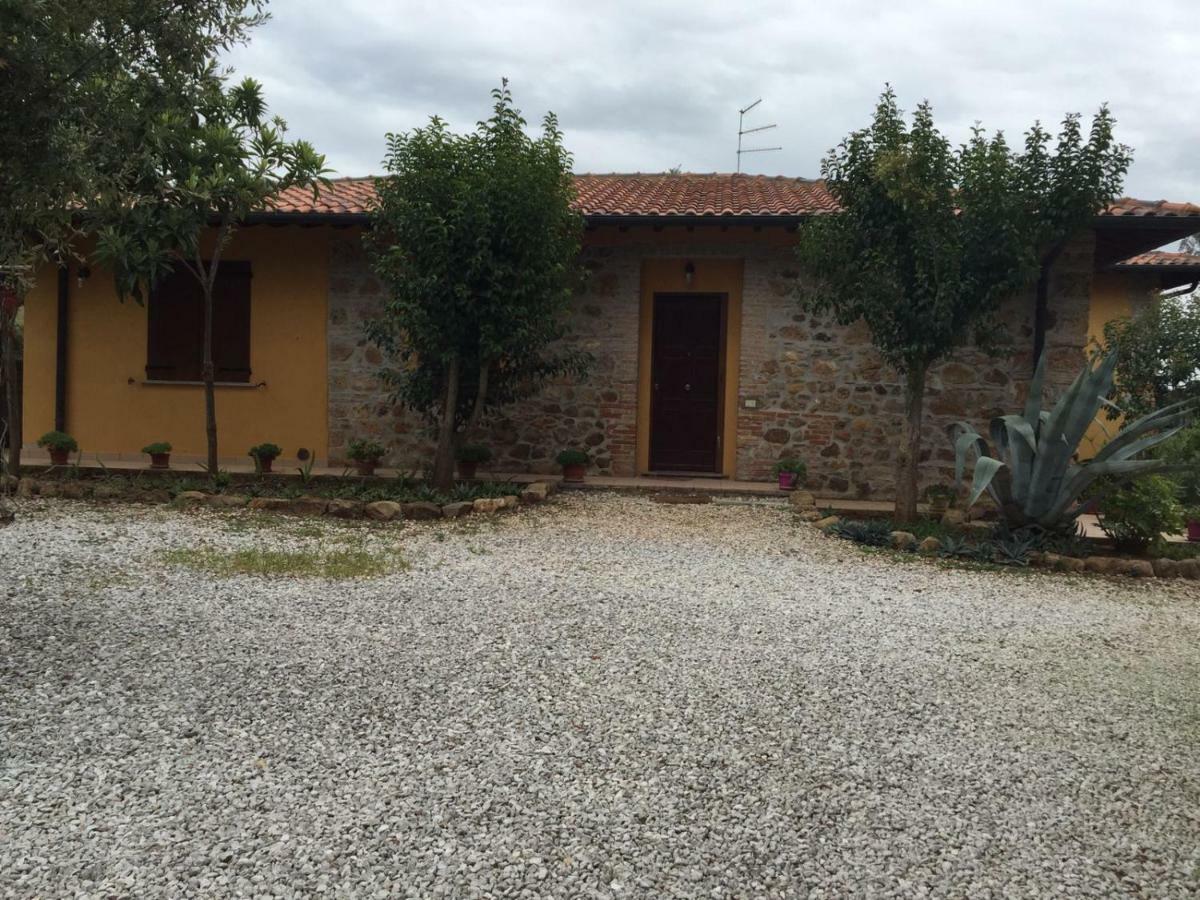 Podere Mammoleta Fattoria la Marsiliana Kültér fotó