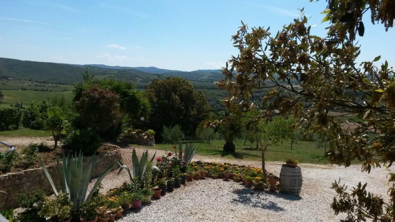 Podere Mammoleta Fattoria la Marsiliana Kültér fotó